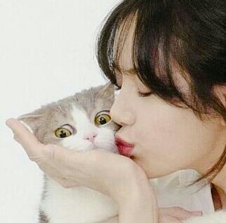 Draggo19810575's tweet photo. Cat person struggles
😂
#sakucat
#lisacat
#宮脇咲良 https://t.co/2tj8OfPKmb