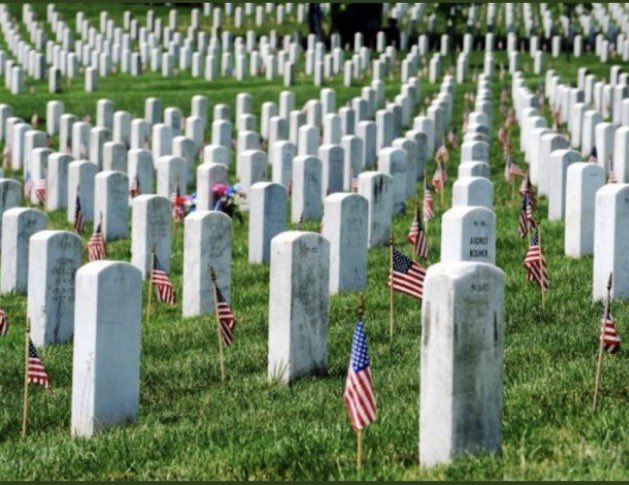 🇺🇸🇺🇸🇺🇸 Happy Memorial Day everyone. We live in the greatest country on Earth and today we honor those who died serving the country to protect our many freedoms. 🇺🇸 🇺🇸 🇺🇸 God bless the USA.