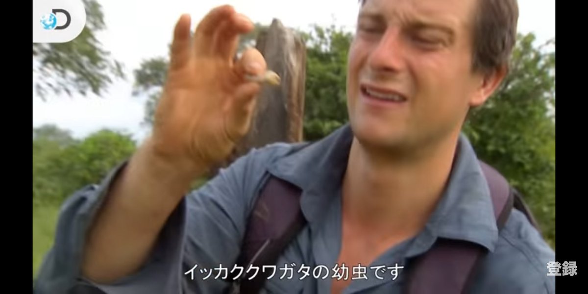 ベア グリルス Twitter Search