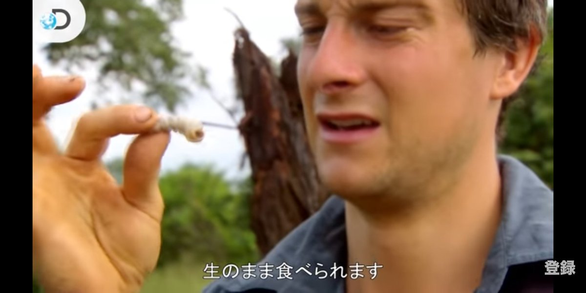 ベア グリルス Twitter Search