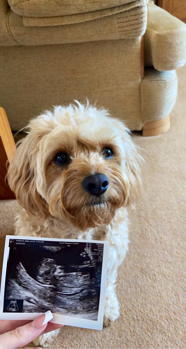 𝐀𝐁𝐁𝐈𝐄-𝐋𝐎𝐔𝐈𝐒𝐄 tweet media