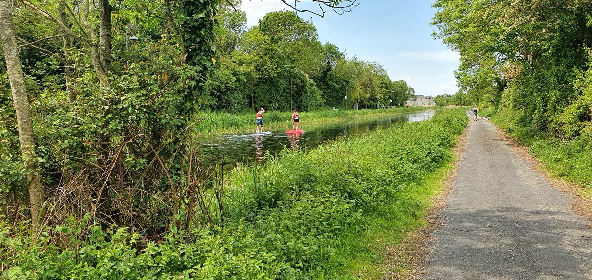 cbbrown35's tweet photo. My lunch time walk by the Grand Canal seems suddenly too boring. #12thLock. #GrandCanal #Dublin https://t.co/CooDbjVE0K