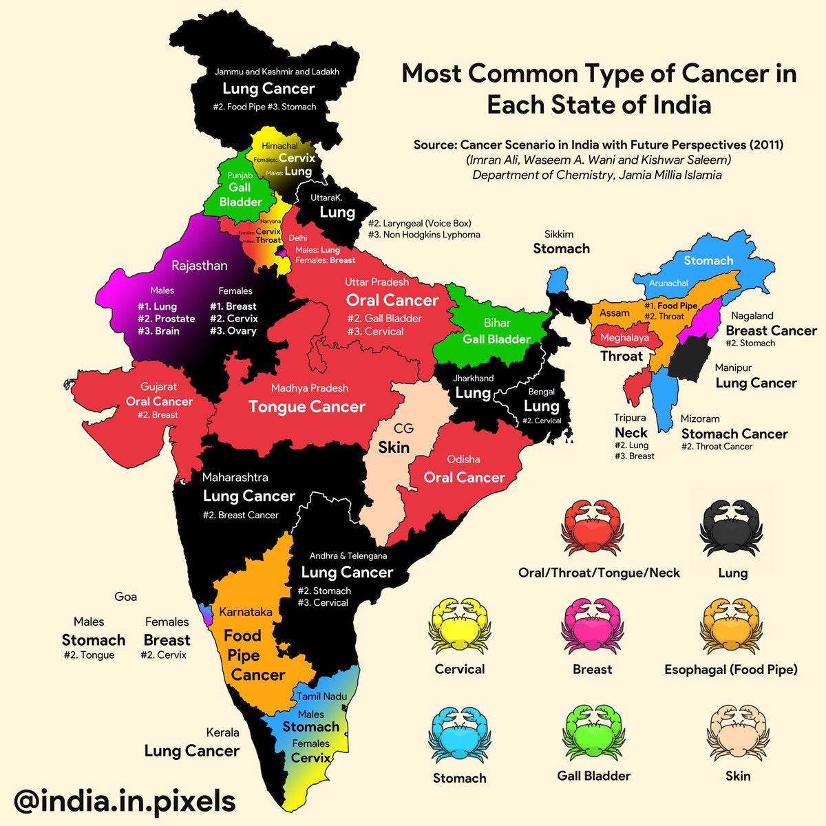 indiainpixels's tweet photo. The most common type of Cancer in each state of India

Lung Cancer is the most widespread form of Cancer followed by Oral cancers [includes throat/mouth/oropharyngeal/laryngeal]

Poster available here: https://t.co/RLC4muQ2Ca https://t.co/Wf87u2Odh6