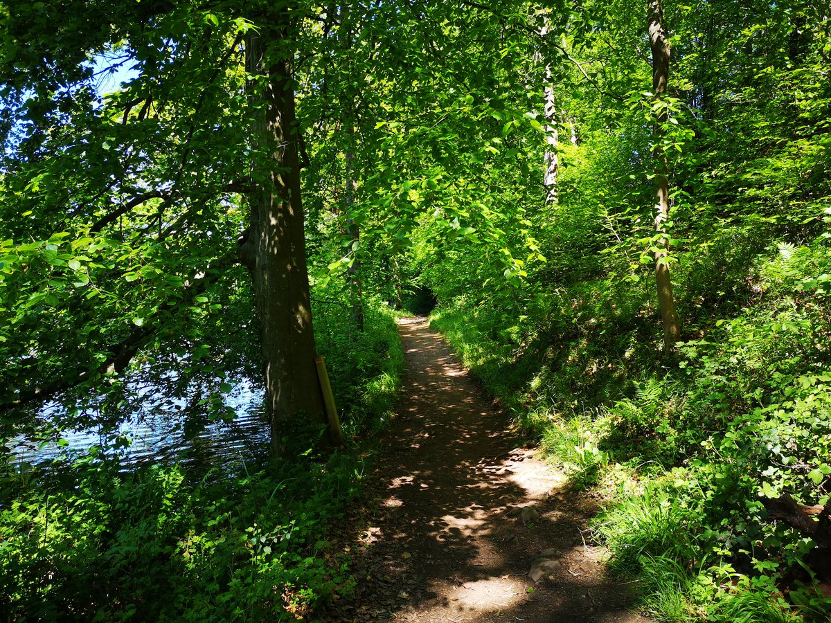 Another lovely relaxing afternoon at @NTDudmaston .