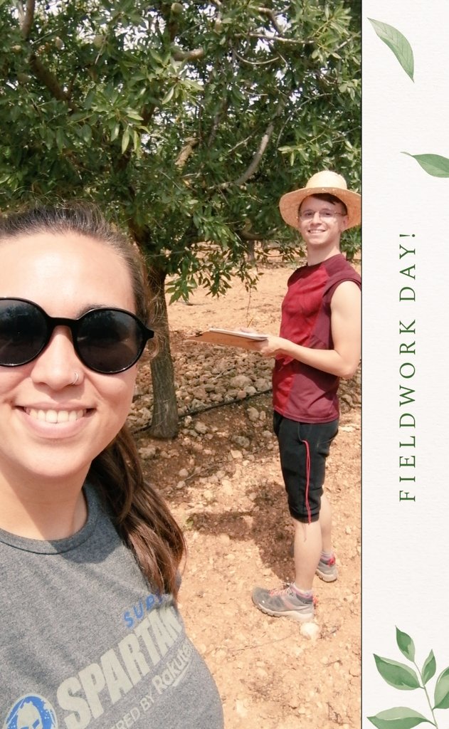 Cooleoptera's tweet photo. Avui tocava #DiaDeCamp amb en @Cay3tanoHerrera per un projecte del #FOGAIBA (@AgriculturaGOIB ) i @UIBuniversitat !!! 🌳🐝 ☀️
@LatorrePineiro t'enyoram! 💜 #BugLovers #EntomoGlobal @Mar_Leza_Salord https://t.co/6ECqcpuB1R