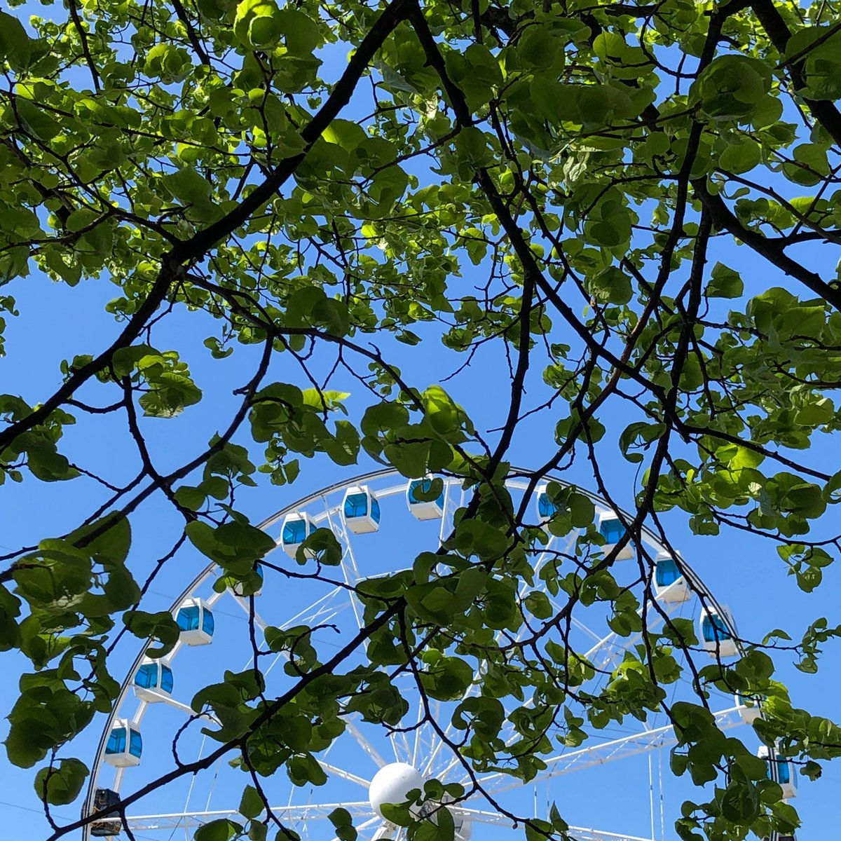 Helsinkiwheel's tweet photo. Happy June everyone!🌳
Today we are open from 12:00 to 18:00. Welcome!😊 https://t.co/sEjQlG1HSB