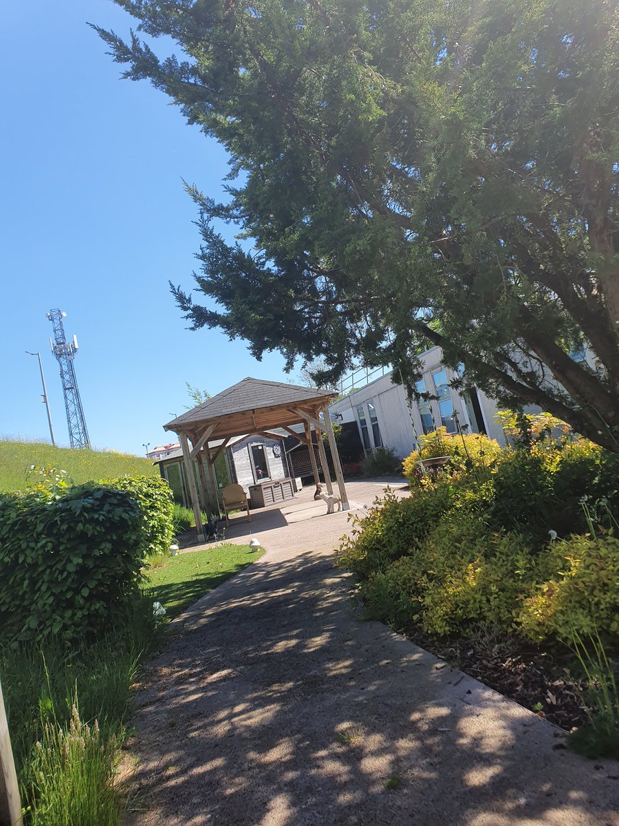 Alistair chappell (@alistairchappel) on Twitter photo How lucky we are in #ward36rah to have this wonderful outdoor space to enjoy, today is glorious and some of the patients have been out relaxing <a href="/NHSGGC/">NHS Greater Glasgow and Clyde</a> <a href="/NHSGGCClydeAHP/">NHSGGC Clyde AHP</a> <a href="/VickiCox/">Victoria Cox</a> <a href="/steph_leca/">stephanie</a> How lucky we are in #ward36rah to have this wonderful outdoor space to enjoy, today is glorious and some of the patients have been out relaxing <a href="/NHSGGC/">NHS Greater Glasgow and Clyde</a> <a href="/NHSGGCClydeAHP/">NHSGGC Clyde AHP</a> <a href="/VickiCox/">Victoria Cox</a> <a href="/steph_leca/">stephanie</a>