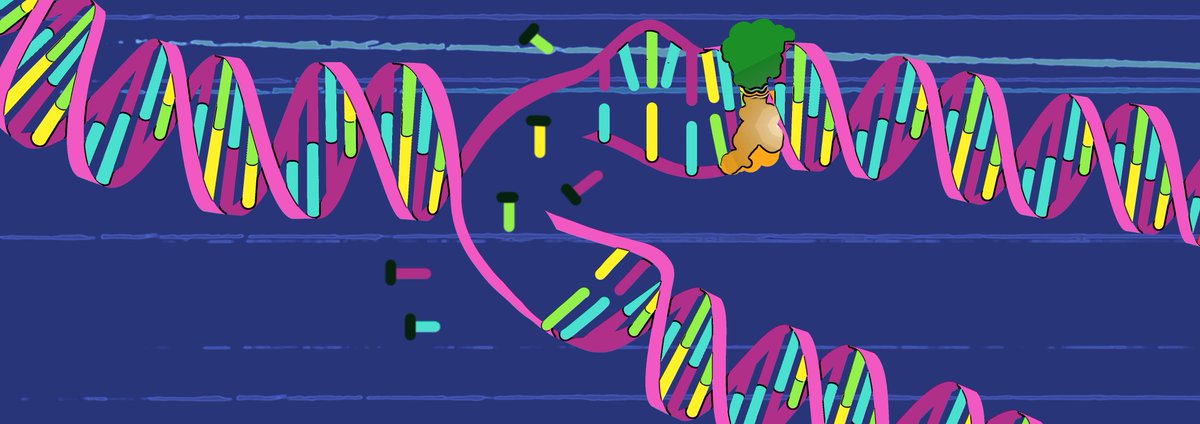 CD_AACR's tweet photo. From the May issue: DNA polymerase and #mismatchrepair exert distinct #microsatelliteinstability signatures in normal and malignant human cells. @Uri_Tabori @getz_lab @SickKidsNews @MGHCancerCenter @broadinstitute
https://t.co/xHsNHKkIZa https://t.co/aH1zKUjMoS