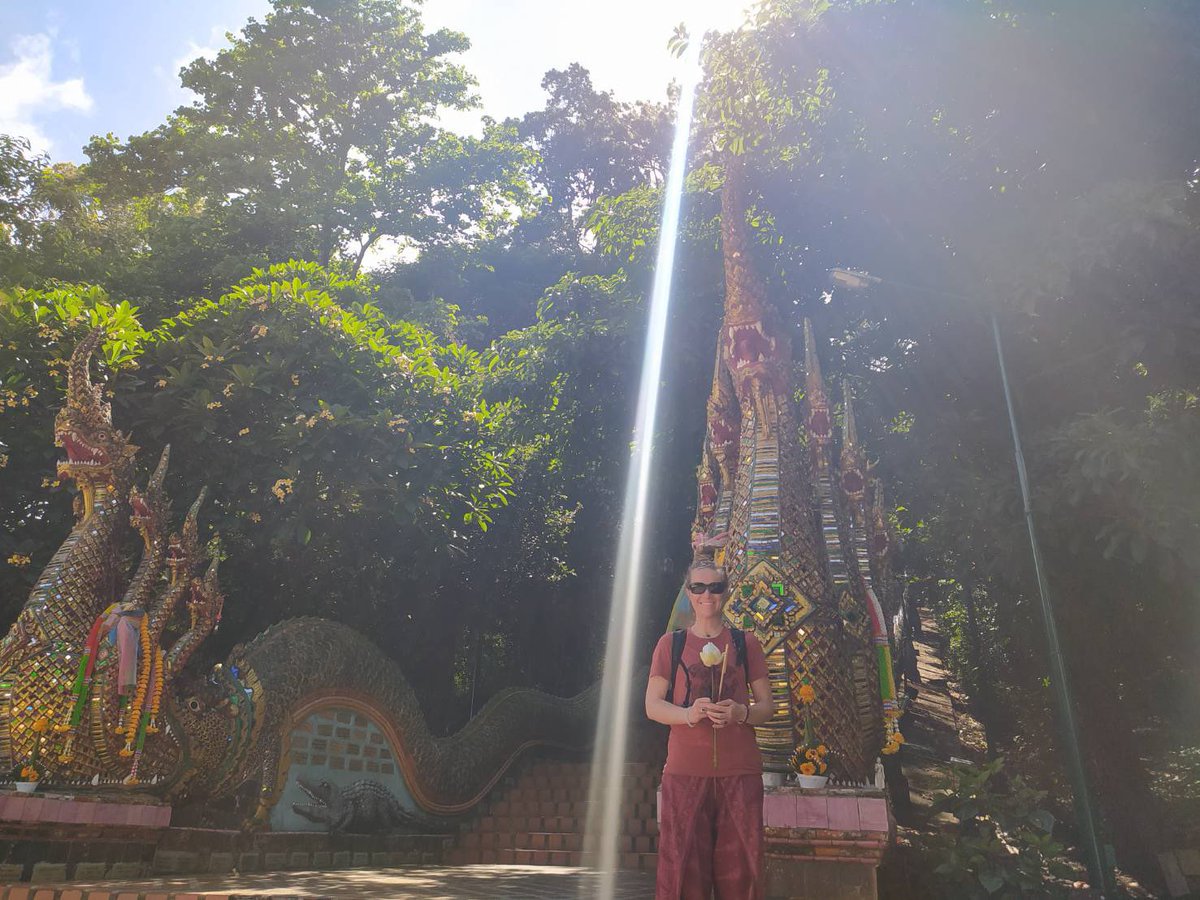 First Day for Bryce in our Thailand Elephant Volunteer Program. Some pics here of weekend orientation, temple visits and her first day with Elephants! #volunteerthailand #volunteerchiangmai #friendsforasia #elephantvolunteer volunteerthailand.org