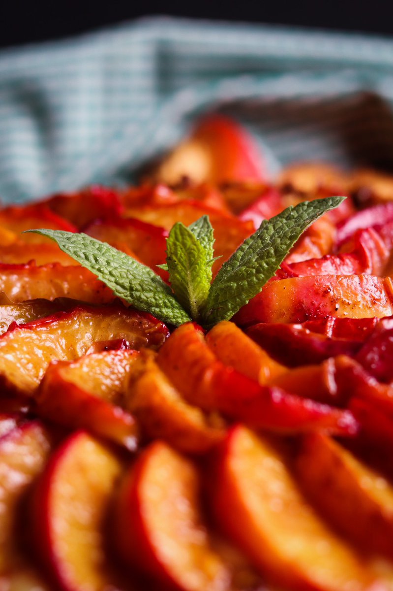 LaBeardedLady's tweet photo. Molasses Roasted Peach &amp; Lemon Ricotta Cheesecake Tart with Lemon Curd and Ginger Snap &amp; Toasted Pecan Crust

RECIPE COMING SOON

#LaBeardedLady #MemorialDay2021 #Peaches #MDW #MDW2021 #cheesecake https://t.co/deG1PBbmnZ