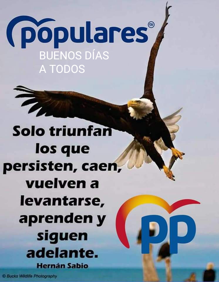 monfortino3's tweet image. BUENOS DÍAS ESPAÑA.
Cada vez tenemos más cerca de hacer realidad que esta pesadilla de gobierno que tenemos en España se acabe y vuelva entrar en España un gobierno de gestión, de empleo y de oportunidades y libertad y eso sólo lo ofrece un partido político @populares.
#YoPP