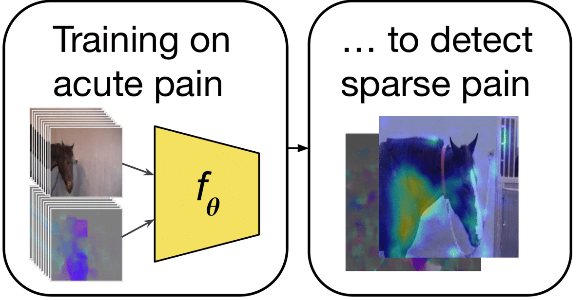 New preprint out on transfer learning between different pain types in horses arxiv.org/abs/2105.10313