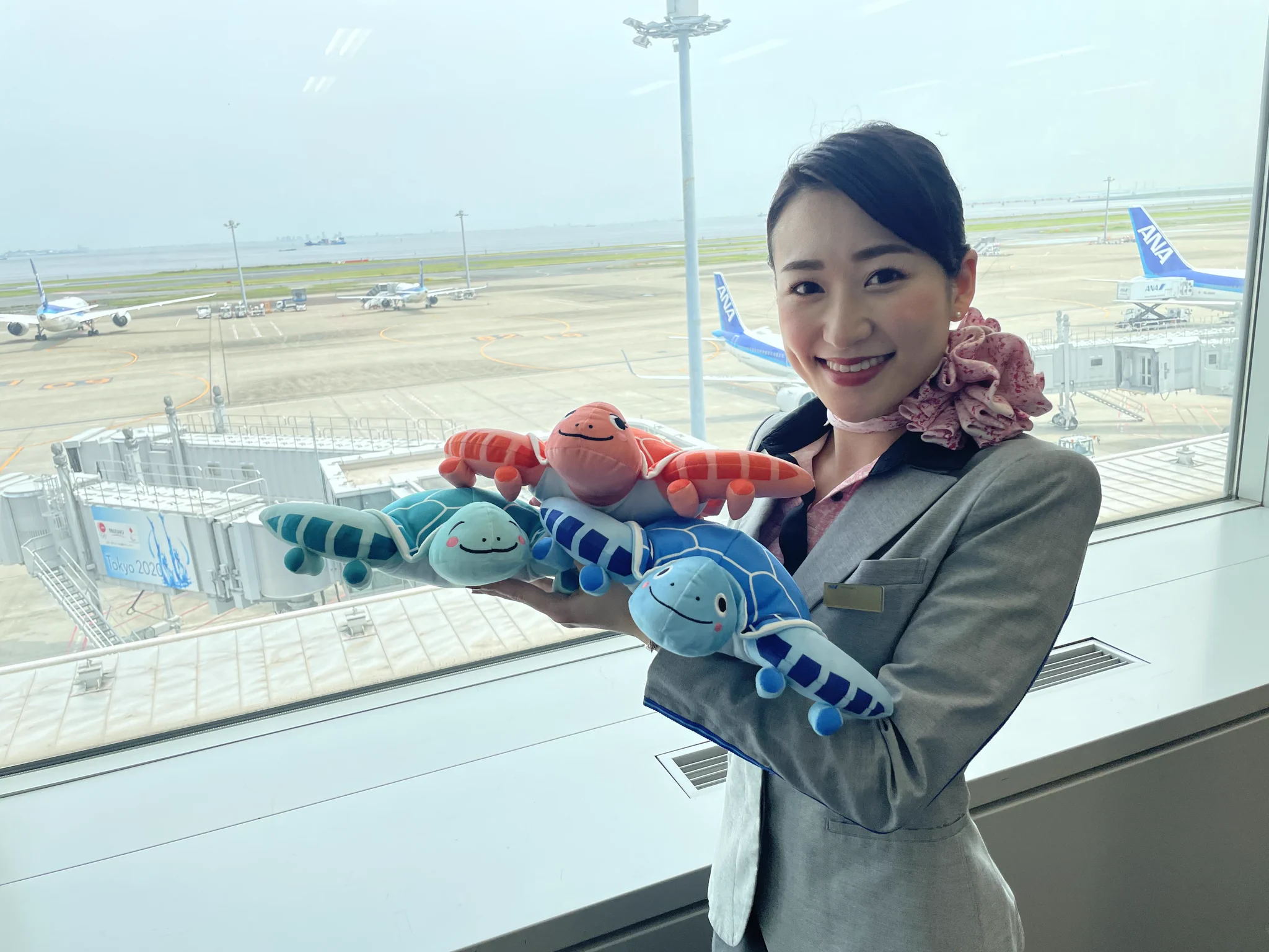ANA フライングホヌ ぬいぐるみ　セット ANA Group News on X: 