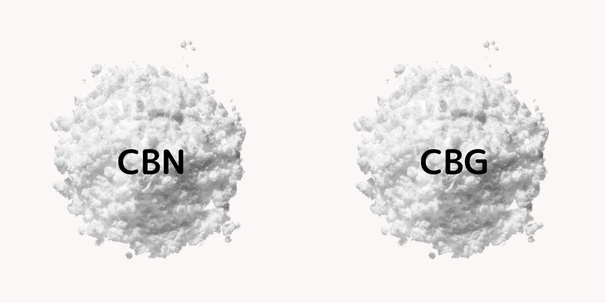 【Vol.1：次世代のカンナビノイドCBN・CBG原料を卸売開始】ユニークなCBD製品をOEM・仕入販売したい方へ prtimes.jp/main/html/rd/p…