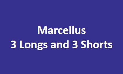 Marcellus Investment Managers tweet media