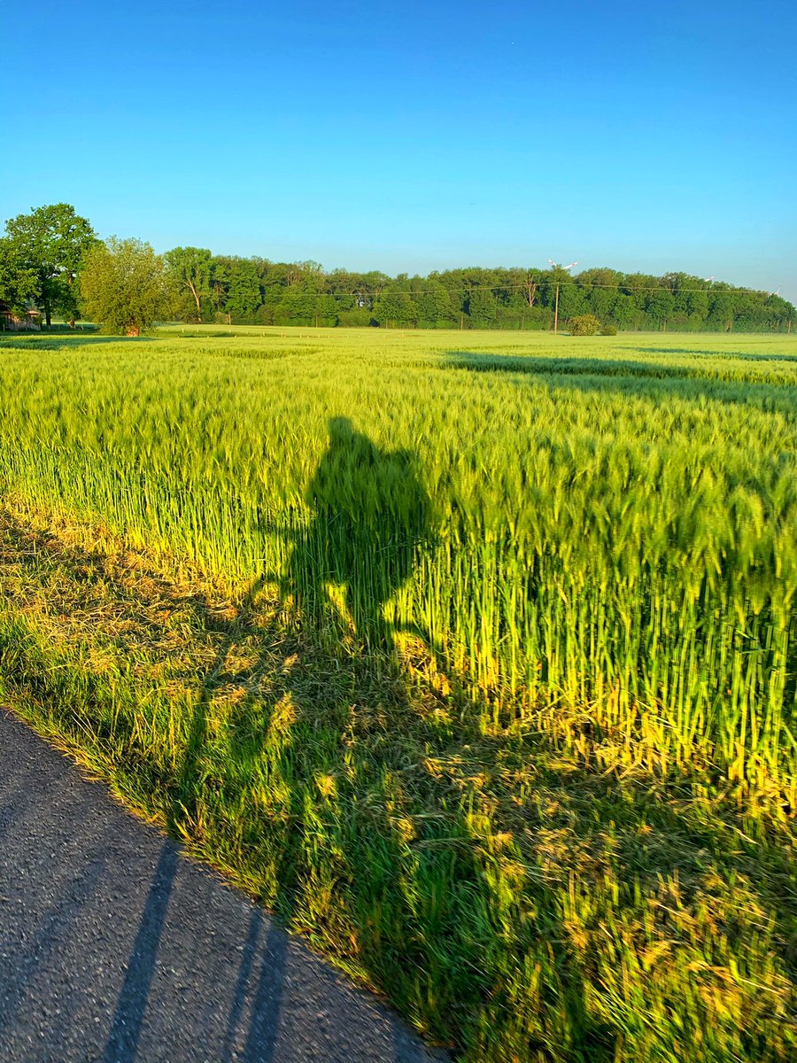 #biketowork ☀️