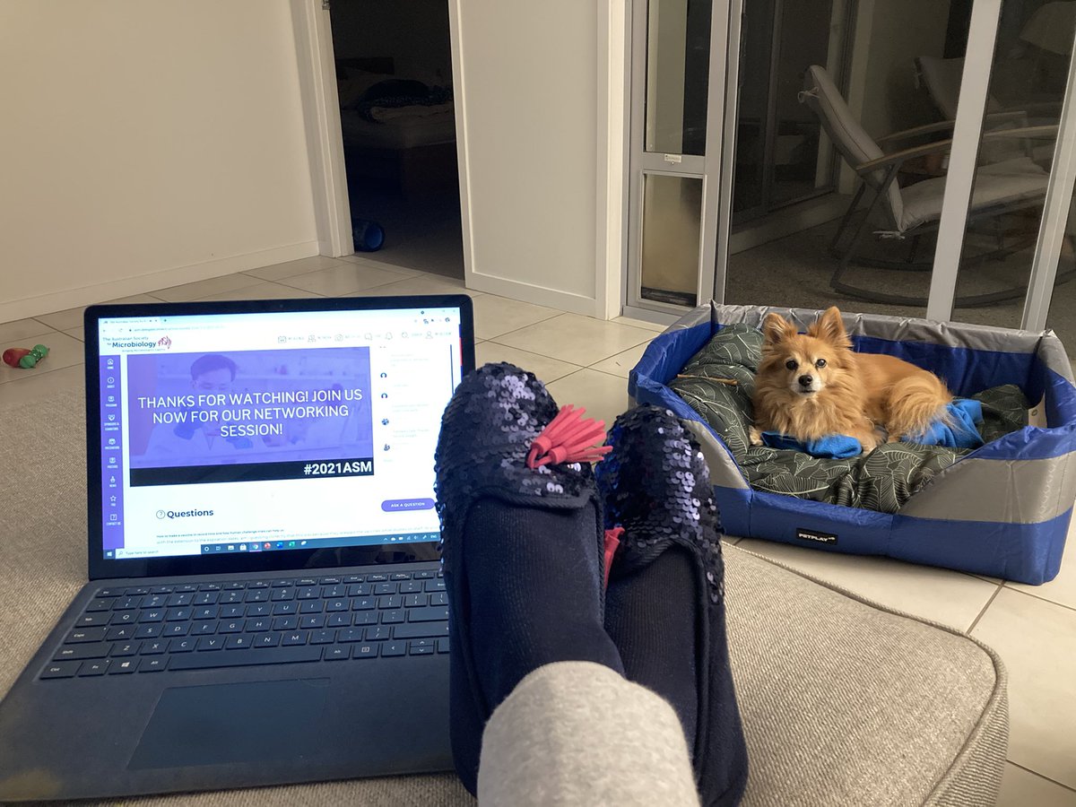 MartinaJelocnik's tweet image. #2021ASM such fantastic Day 1 talks 🤩 Also how great is the #2021ASM muzak 🎸🎶 and enjoying the conference with #Petsof2021ASM