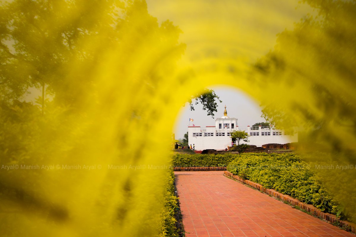 Manishar337's tweet photo. Prayer flag illuminating the world heritage site Mayadevi temple, birth place of lord Gautam Buddha at Lumbini, Rupandehi.
Photo/Manish Aryal
#lumbini #bhairahawa #buddha #buddhism #mayadevi #prayerflag #tibetan #photowallkersnp #photowalkerspalpa https://t.co/zPZfqDTfg9