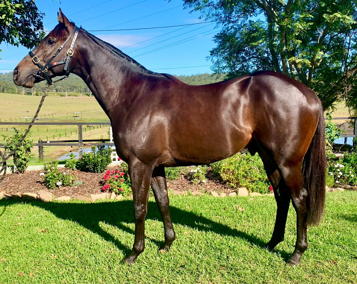 Newington Farm tweet media