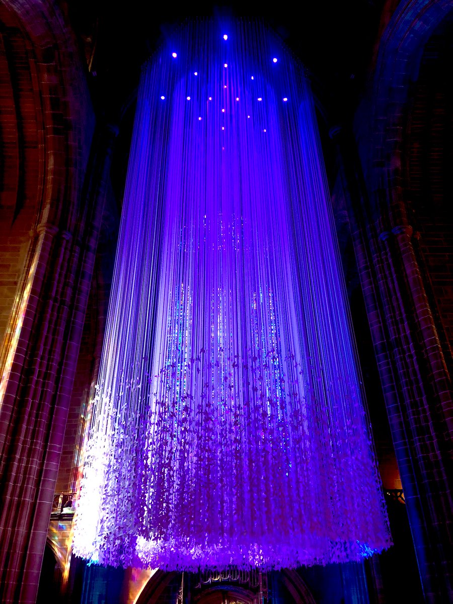 #peacedoves @LivCathedral #light @IndpndtLiv @CultureLPool @LiverpoolVista @ArtsCityLpool #doves #peace 💚 #peaceful #💚#@joggers0 #artforeveryone