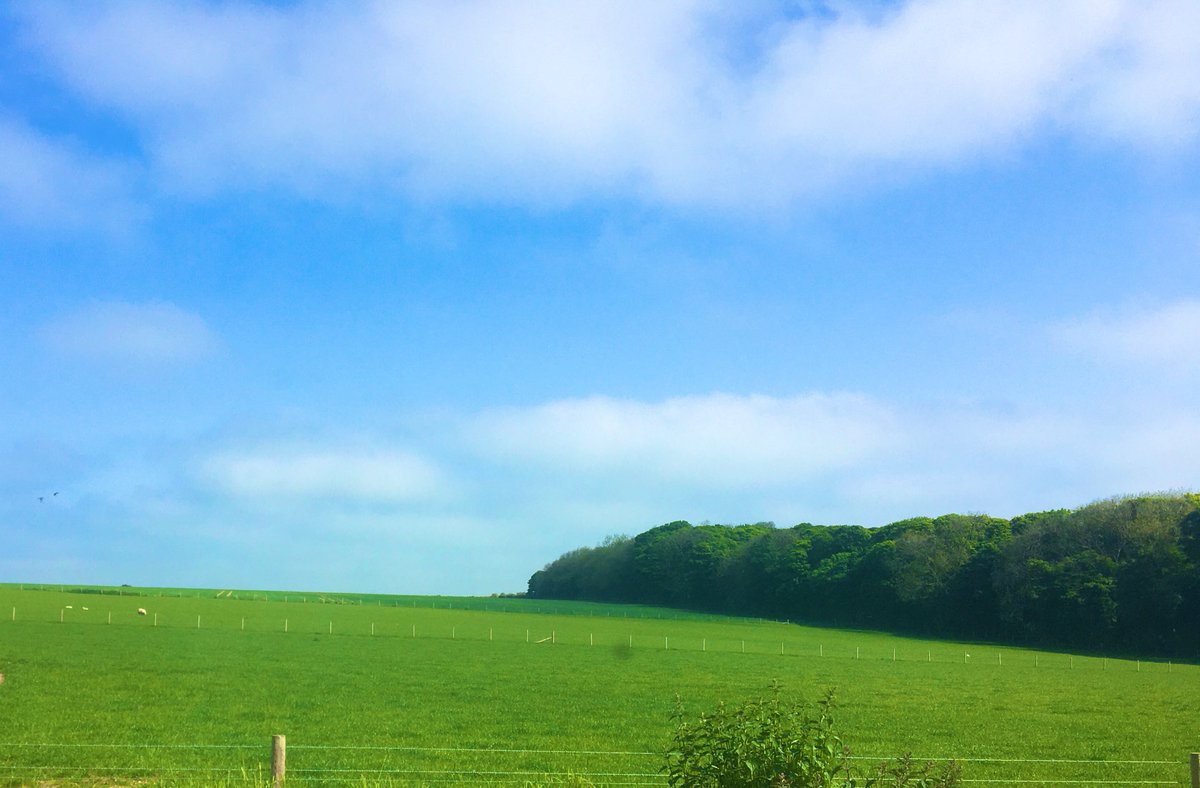 alison_woodall's tweet photo. Its turn out day for the cows and calves ππͺππͺ
Weβve managed it after running out of silage at christmas to get them to June inside. (Hopefully the bank balance will see a relief) ππ
#DifficultYear #TurnOut #Cattle #Grass https://t.co/Bp7ZsMkdkQ