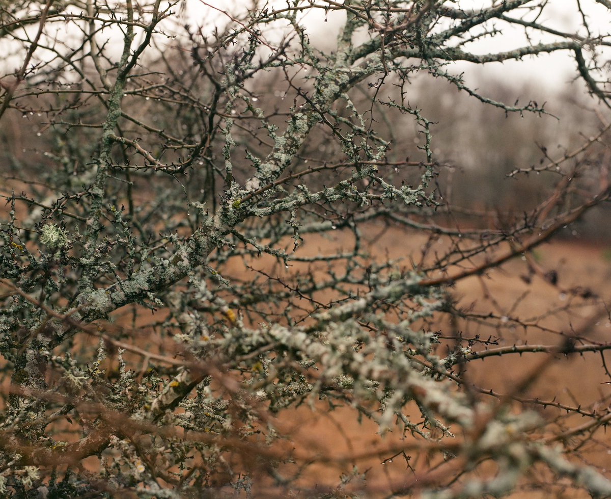 Venerdì sera si sono concluse le quattro serate in cui abbiamo viaggiato per tutta l'Italia, grazie a numerosissimi esperti del settore, professori e attivisti.
Vi ringraziamo per averci ascoltati ⚡ #DiaridelNucleareItaliano rimane in podcast per voi su TRE SOLDI <a href="/Radio3tweet/">Rai Radio3</a> 🎯