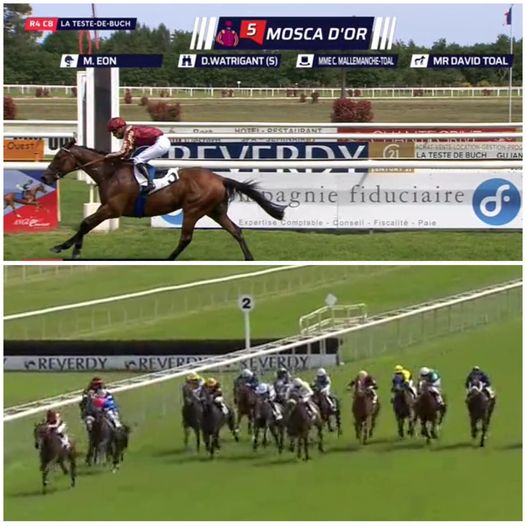 28/05 🏆MOSCA D’OR - 🐎 gagnant !
Prix Agen La Garenne - La Hippodrome de la Teste
Prop. Christine Mallemanche-Toal &amp; Damien de Watrigant 
Ent. #Damien DE Watrigant
J : M. Eon 👏