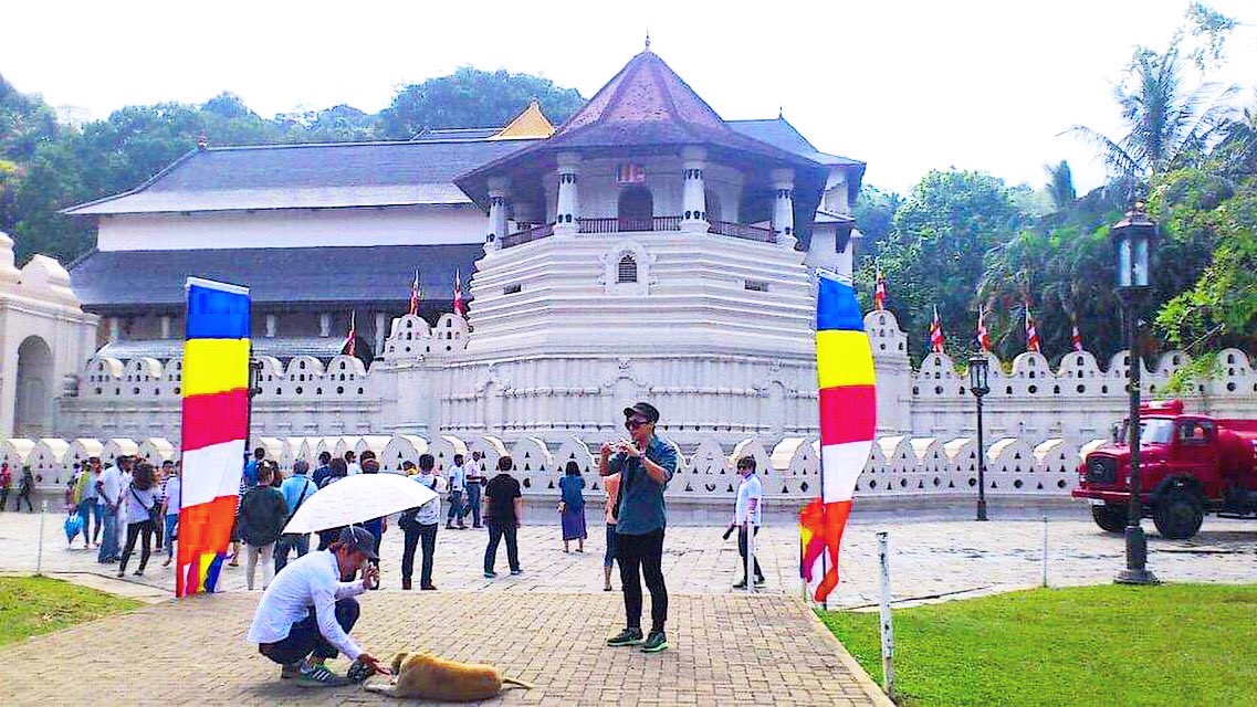 DulithK's tweet photo. #Kandy #TempleOfToothRelic #TB #DKclicks https://t.co/ZDJPMTeqyl
