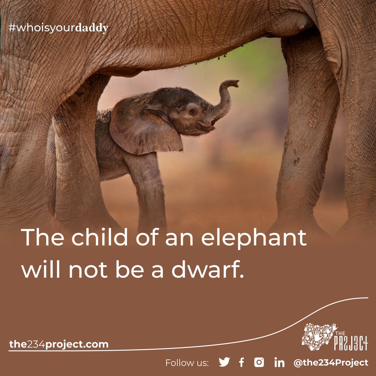 LOVE Nigeria (@the234project) on Twitter photo #mondaymuse
Who is your daddy?
‘The child of an elephant will not be a dwarf.’
Be all that you are meant to be, don't play small.
the234project.com
<a href="/GuardianNigeria/">The Guardian Nigeria</a>
#mondaymotivation #parenting #234project #mondaymuse
Who is your daddy?
‘The child of an elephant will not be a dwarf.’
Be all that you are meant to be, don't play small.
the234project.com
<a href="/GuardianNigeria/">The Guardian Nigeria</a>
#mondaymotivation #parenting #234project