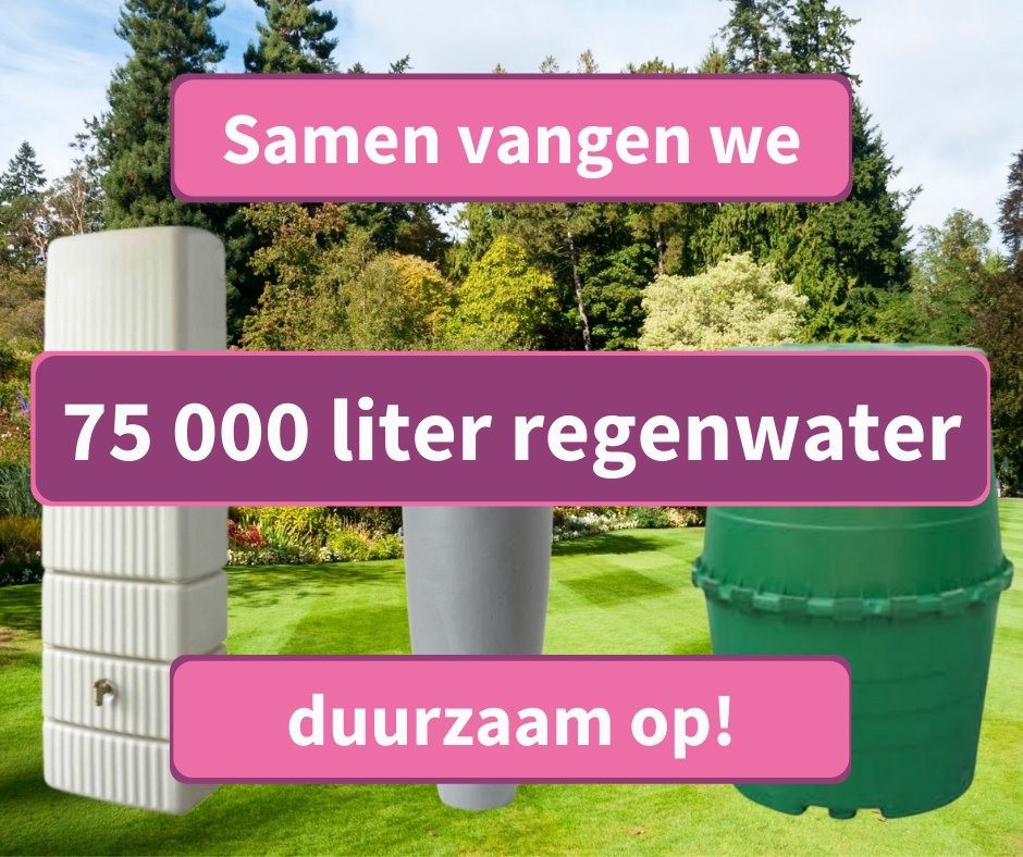 Duffel2570's tweet photo. Een mooie mijlpaal in de #samenaankoop regenwatertonnen: op dit moment besparen we samen 7️⃣5️⃣0️⃣0️⃣0️⃣ liter regenwater!
Op naar de 100 000 liter water?! 🤩
Bestel nu je duurzame, kwalitatieve #regenwaterton via: https://t.co/mkeNlUKgGU!
#duffel2570 #regenwaterton #IGEMO https://t.co/EIYNmq4vWQ