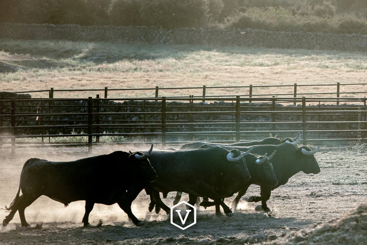 LUNES I ILUSIÓN

#adolfomartin #sabado #avila