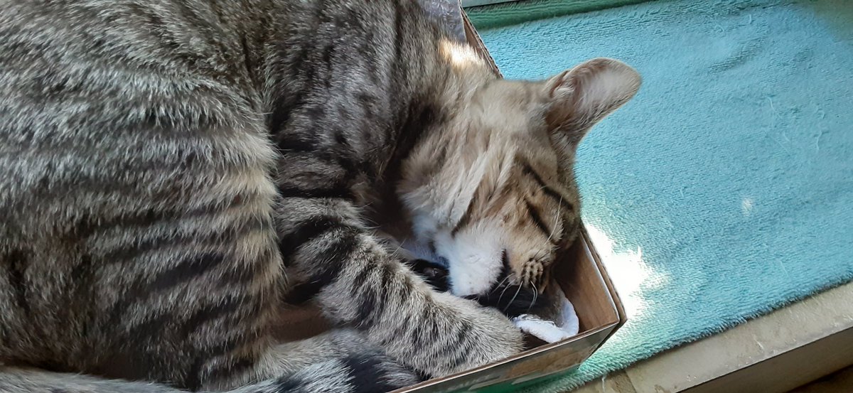 christineyhsd's tweet photo. #WhyAreYouAwake
#waytooearly
One word...
Claude. https://t.co/SCmA9RKx6l