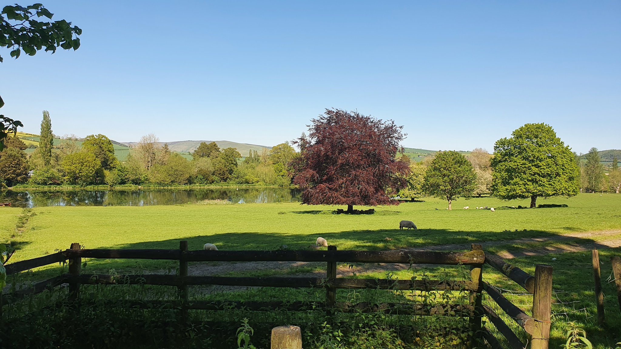 Advolly on Twitter "Fab shropshireNGS visit yesterday to Walcot_Hall