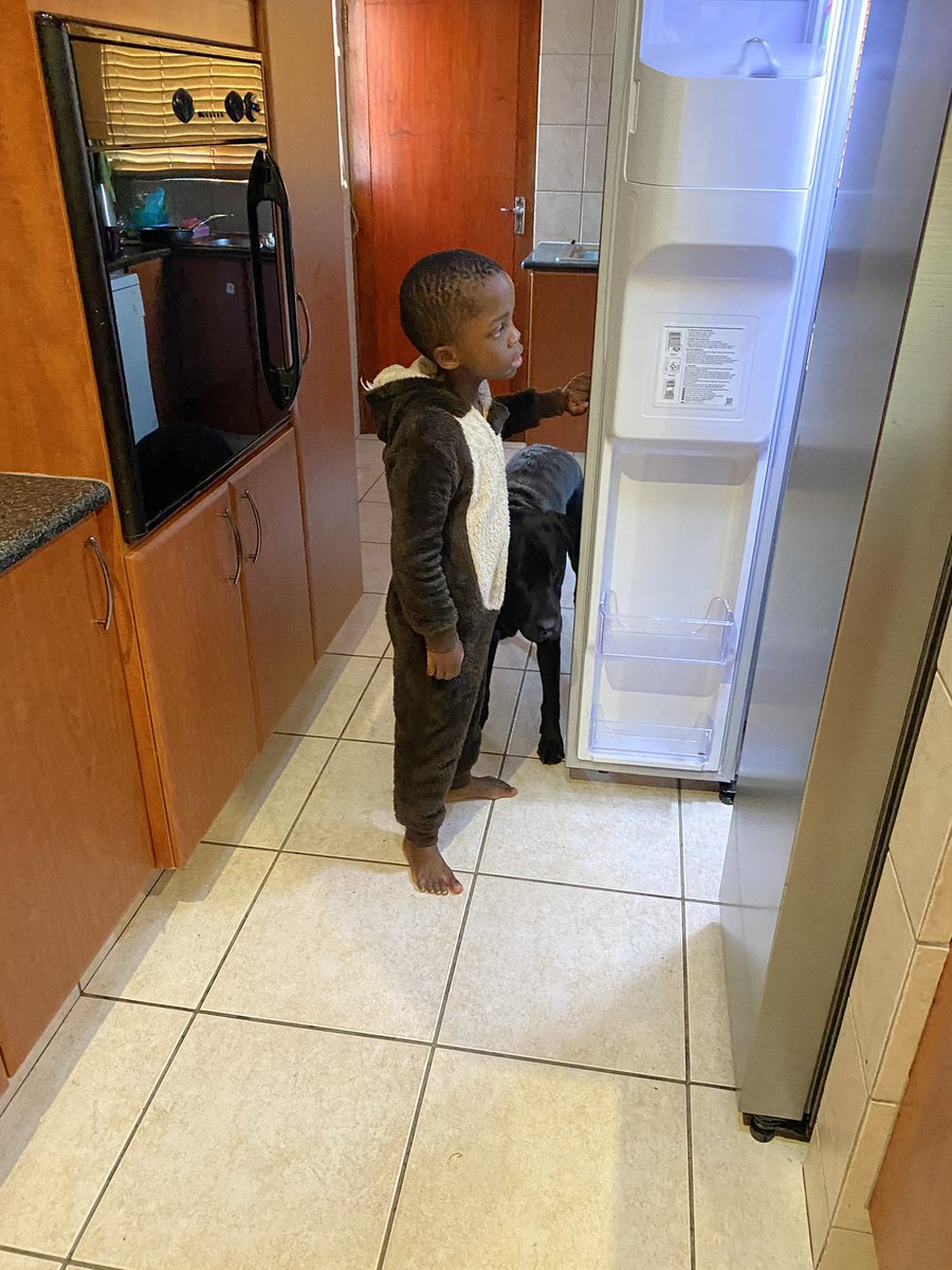 balwa1's tweet photo. K and Peyo ready to raid my fridge 🥰🥰
#autismsupportdog https://t.co/hygXCkjYMB