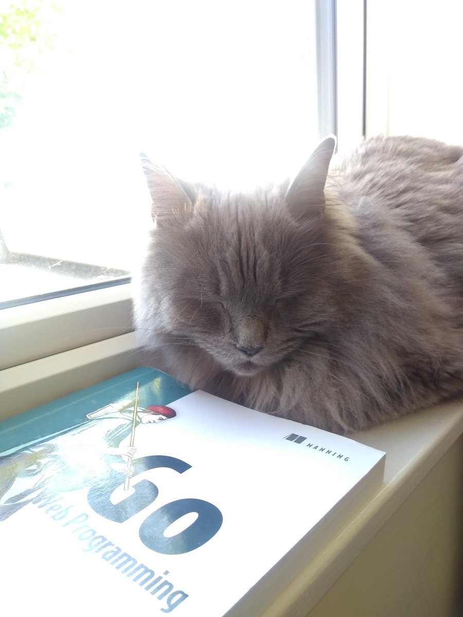 np_developer's tweet image. Clearly #golang is not for Jasper 😴 😆

#devhumor #DEVCommunity #CatsOfTwitter