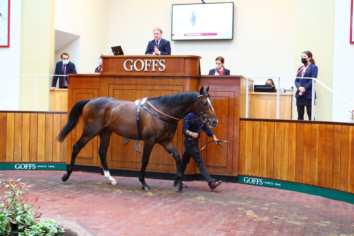 アルカナ 英国ドンカスターで開催されたアルカナ5月ブリーズアップセールは 総売り上げが歴代最高を記録 セール最高価格は 上場番号90番の父メダグリアドローの牡馬で 675 000ポンドでゴドルフィンが落札しました