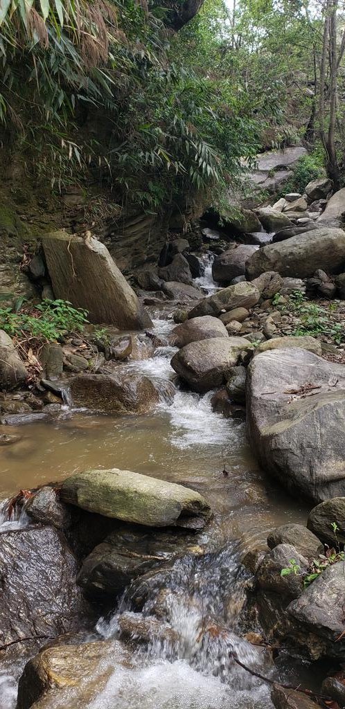 daytoursnepal's tweet photo. With Nature #Nepal #nature #daytoursnepal #travel #beauty https://t.co/aFPd09pv3L