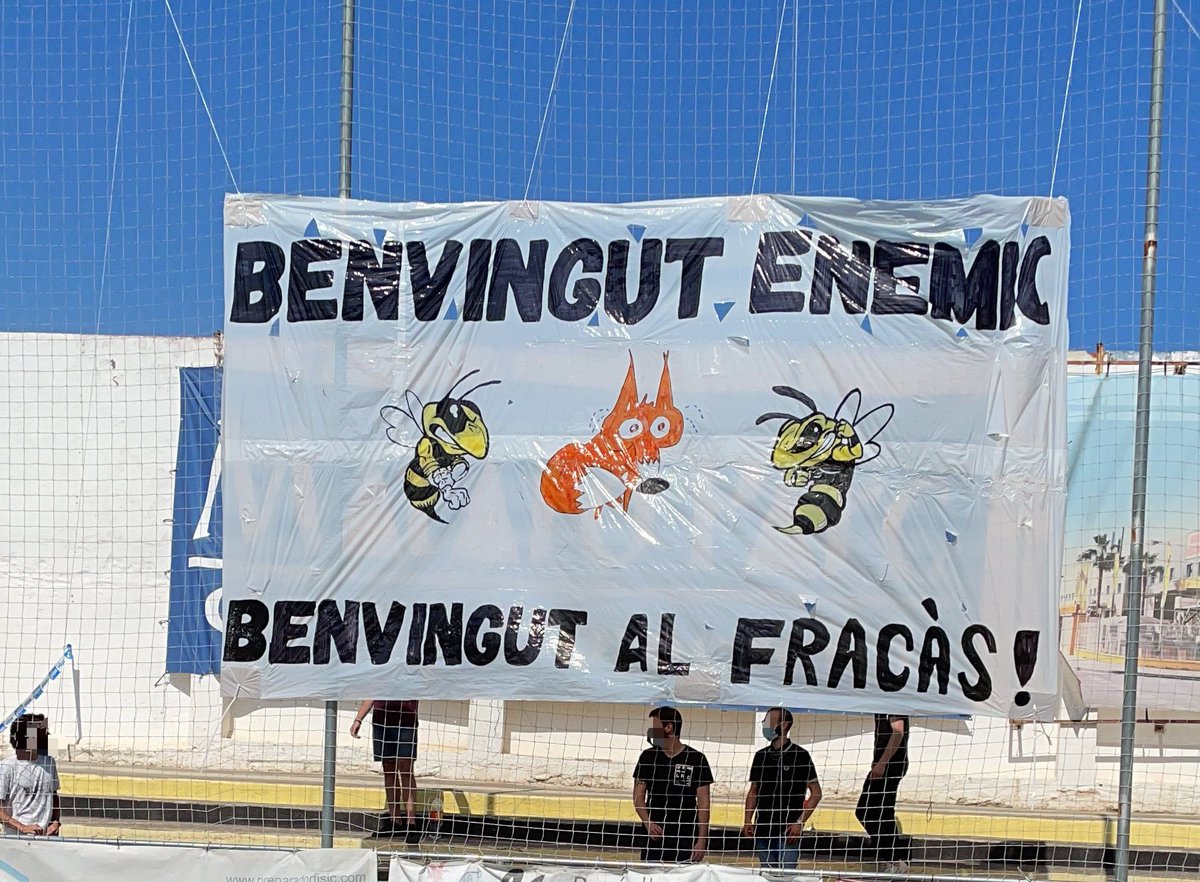 Eixam groc-i-negre. tweet media