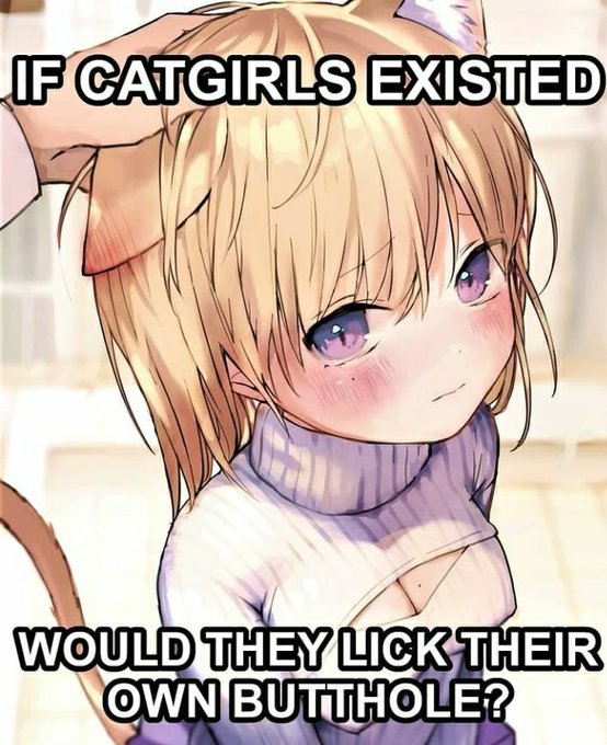 E2tWdisXMAMsrBF?format=jpg&name=small