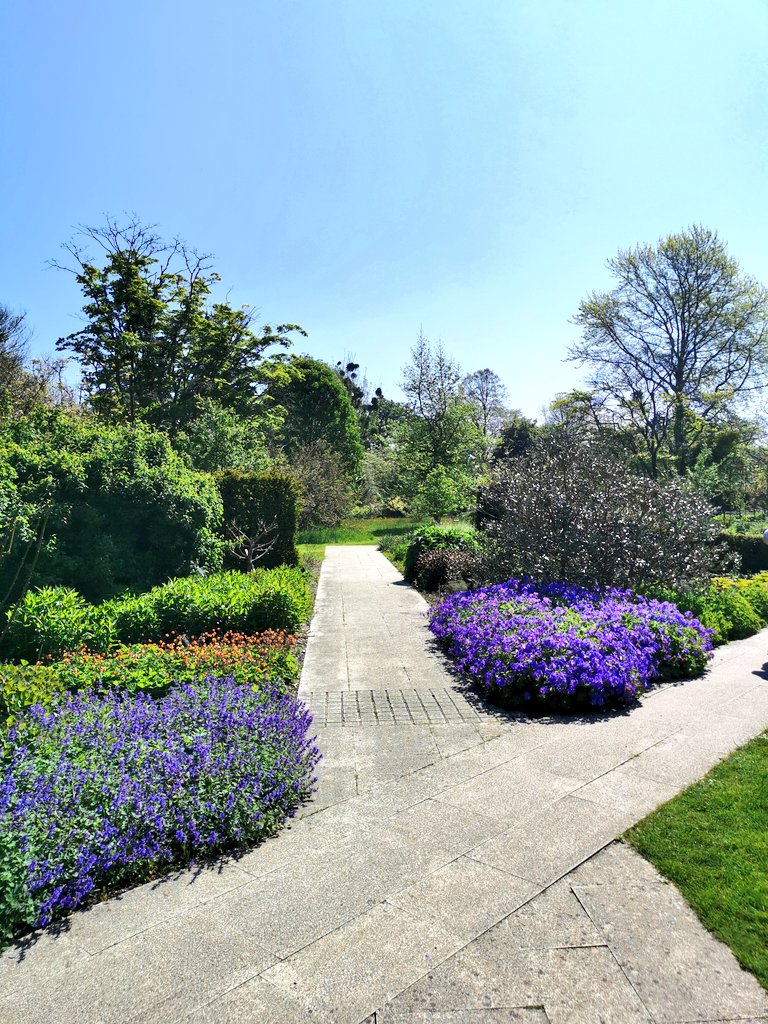 michelletwinmum's tweet photo. Finding some shade in amongst the glorious grounds of @HillierGardens Loving the lush greeness and the blue skies.
#exploretestvalley #visittestvalley #testvalley #adgifted https://t.co/zw9NLlGq1V