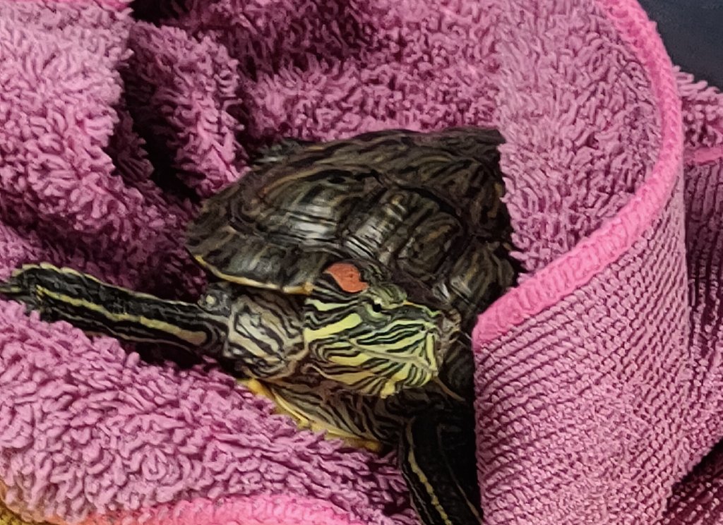 yolculuga ciktik malesf