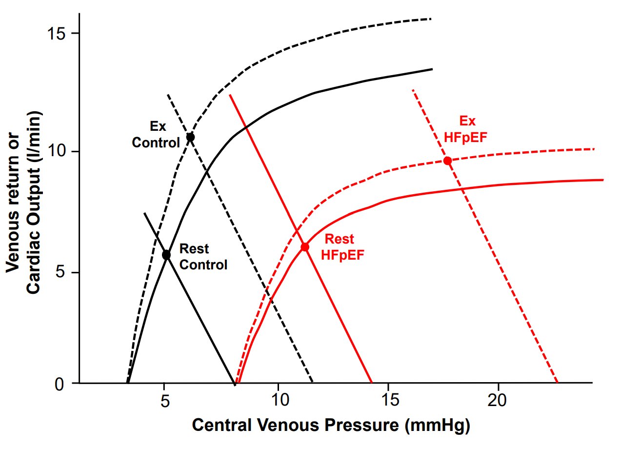 fange genstand Creek Frederik H. Verbrugge on Twitter: "Both the Frank-Starling curve (cardiac  performance) and venous return curve from Guyton determine the hemodynamic  operating point at a certain cardiac filling pressure - cardiac output (CO)