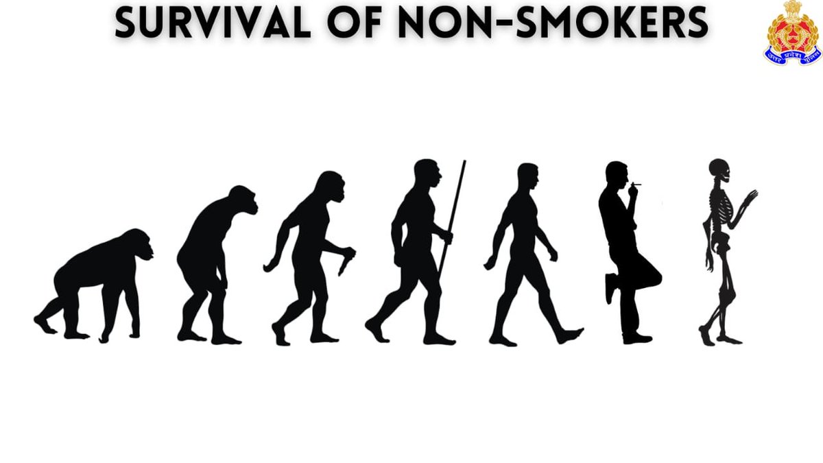 Не работает evolution. Не работает evolution. Evolution картинки. Эволюция человека хомо сапиенс. Не работает evolution.