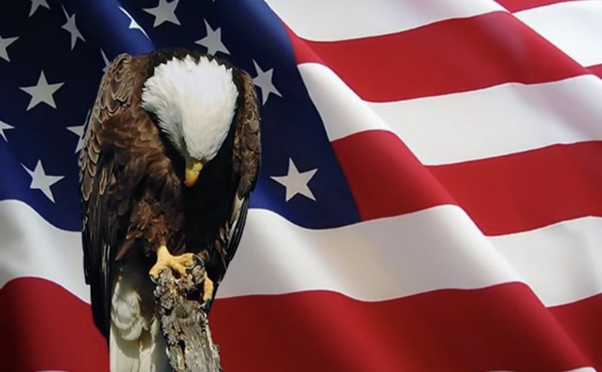 Today and every day we need to stand and honor these colors and remember our heros, those brave men and women who paid the ultimate sacrifice for us.  #heros