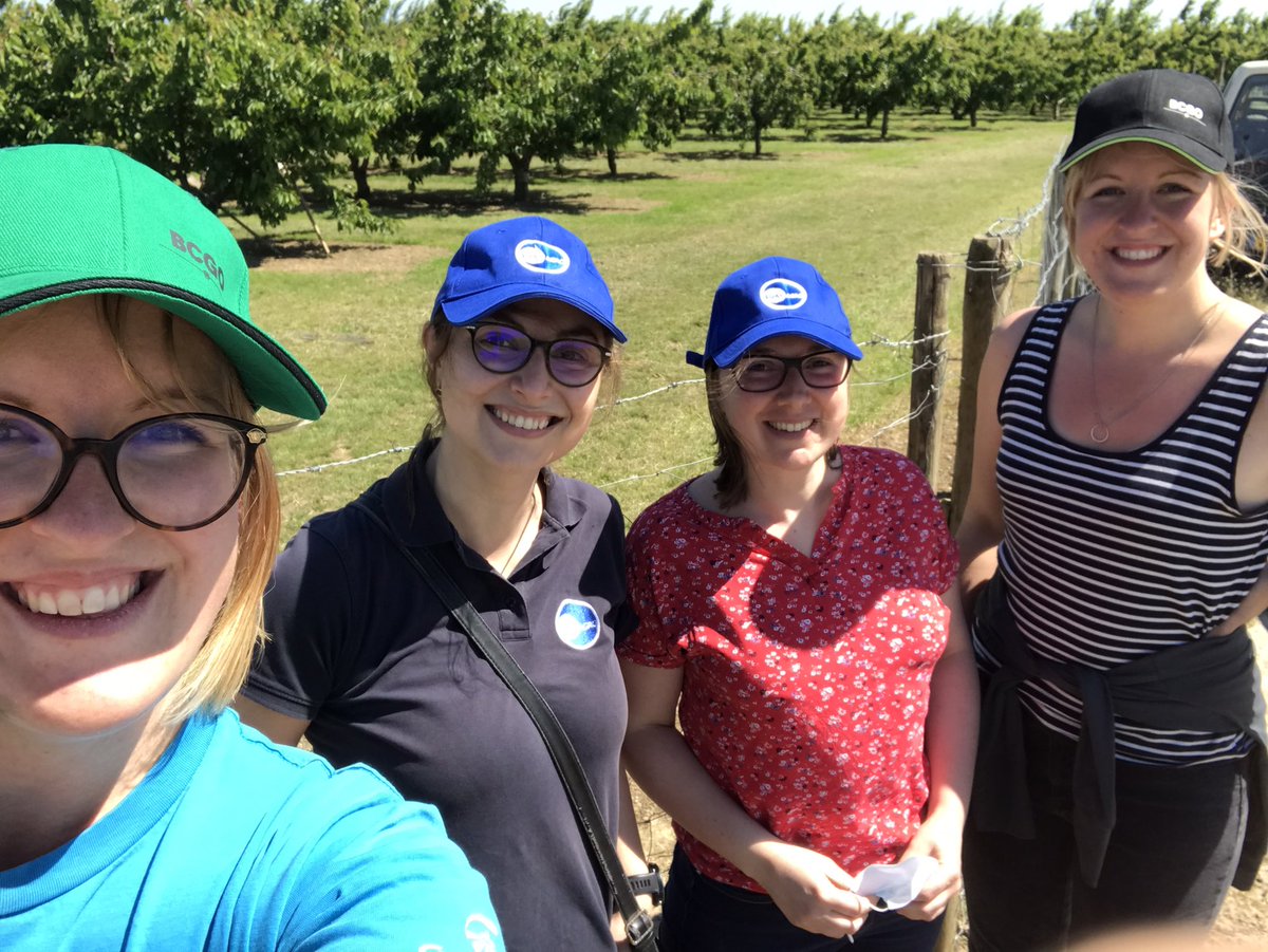 Auria_SAF's tweet photo. Petite virée en Alsace avec @popoSTEINMETZ et @chloe_steinmetz dans les vergers ! 🍒🍎🍏🍐
#ceuxquifontlesfruits, #ginko https://t.co/iM3naTAwZQ