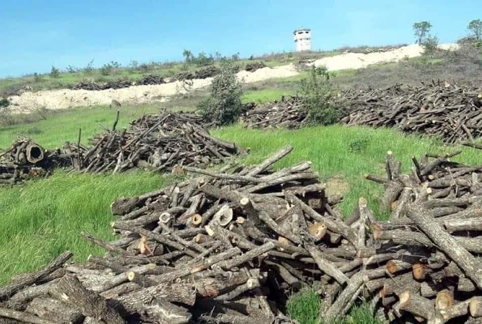 Ji kerema xwe ji bo twîttên li ser talankirina daristanên Kurdistanê ji alîyê artêşa Turkiyê, vê haştagê bikarbînin:

#StopTurkeyEcocideKurdistan