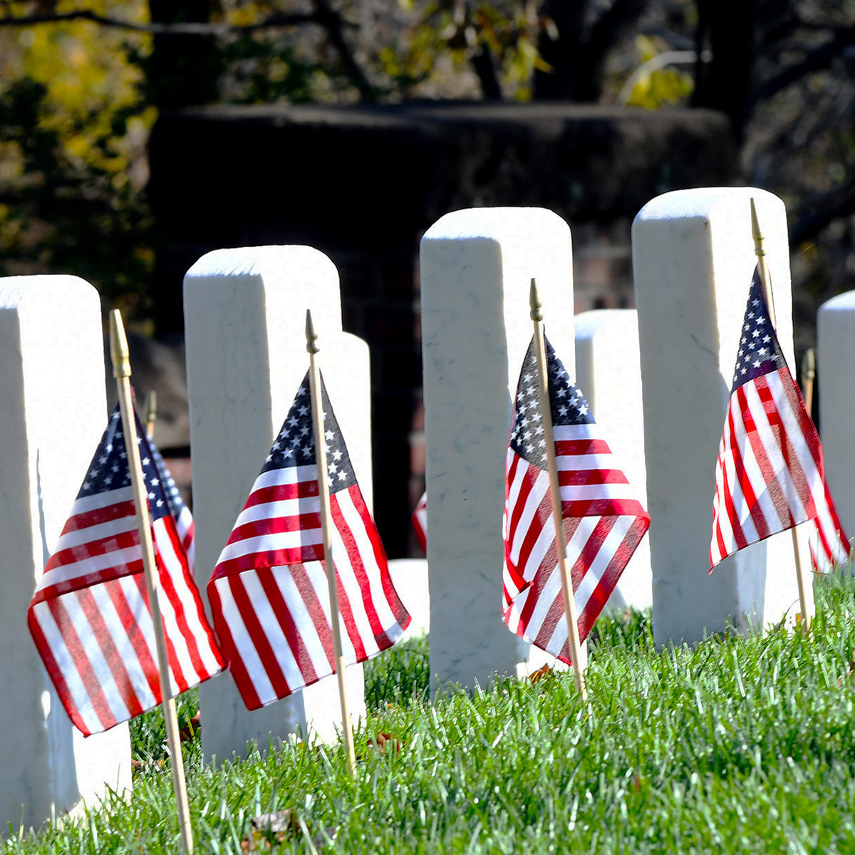 ChaoFarmersIns's tweet photo. Memorial Day, a day to remember and honor those who bravely served and sacrificed their lives. https://t.co/MMFzgHF8ey