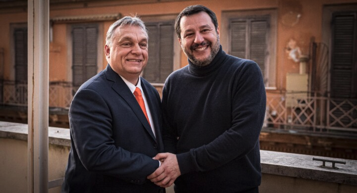 Formiche tweet media
