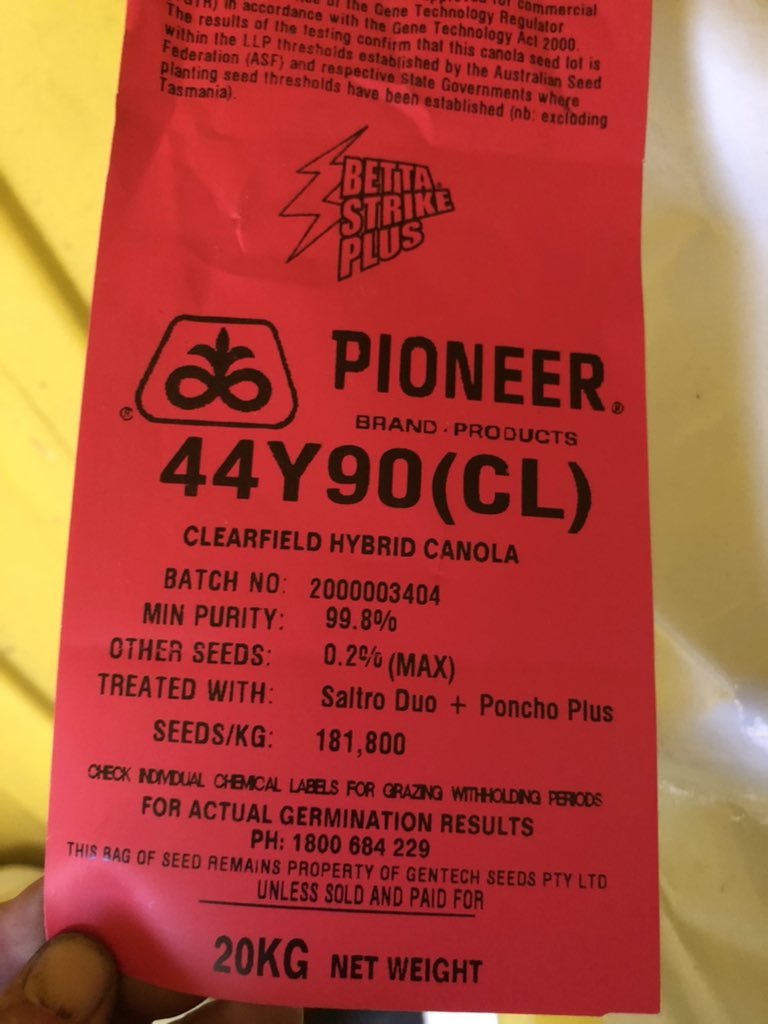 Tracey Wedding tweet media