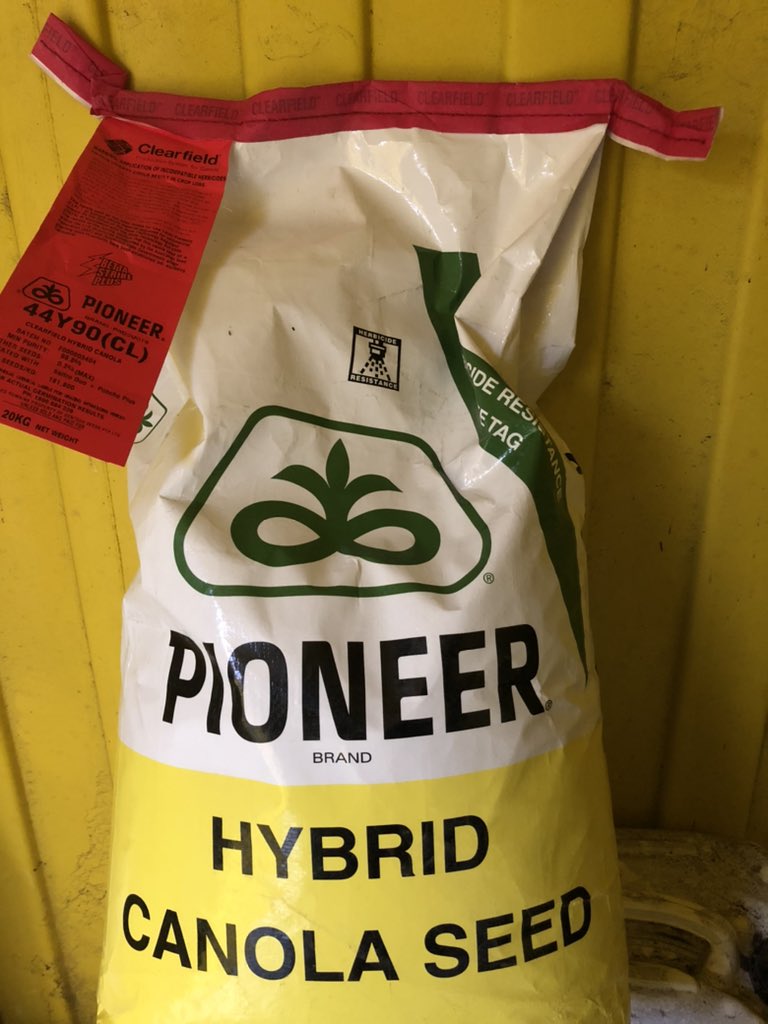 Tracey Wedding tweet media